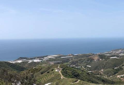 Land in Núcleo