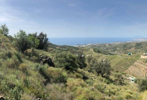 Land in Núcleo
