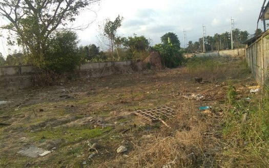 Land 120 trw